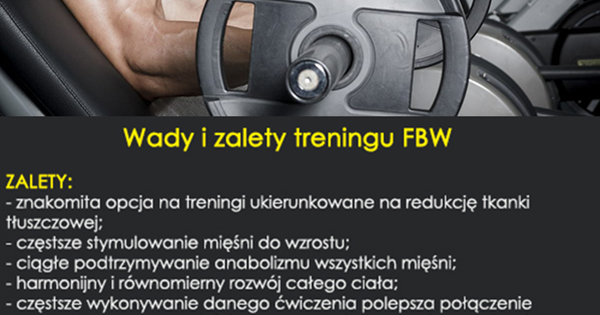 Wady I Zalety Treningu Fbw Fitwiedza Pl